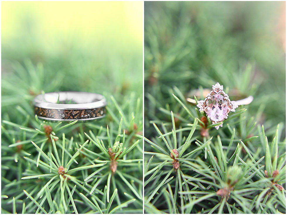 Wea Creek Orchard Engagement Lafayette Indiana Photographer Photography