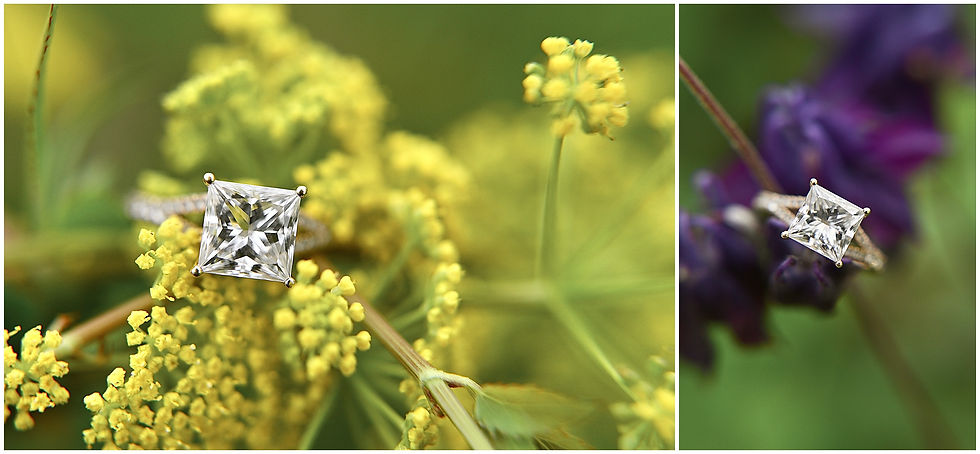 Celery Bog Engagement West Lafayette Indiana Photographer Photography