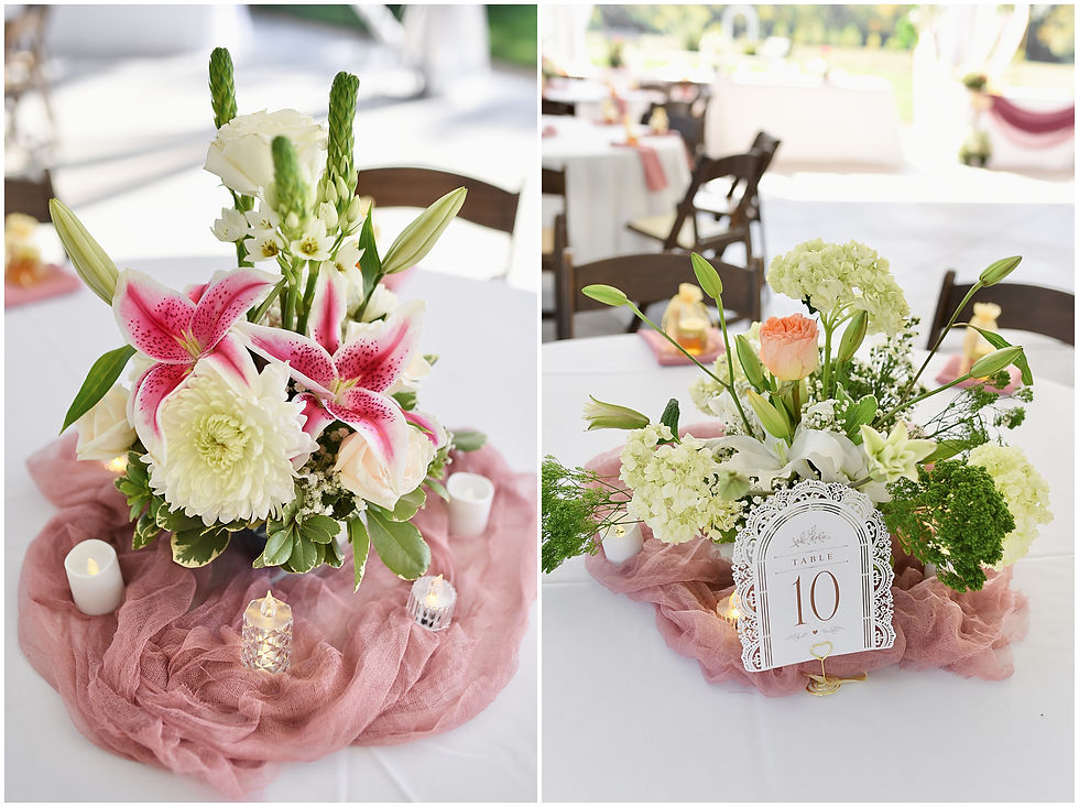Ambassador House Wedding Fishers Indiana Photographer Photography Indianapolis