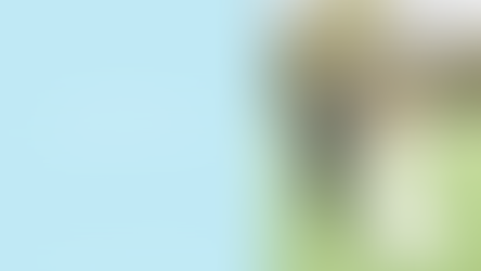 Important Wedding Day Tips: Wedding Wednesday