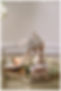 Indianapolis Wedding Photographer