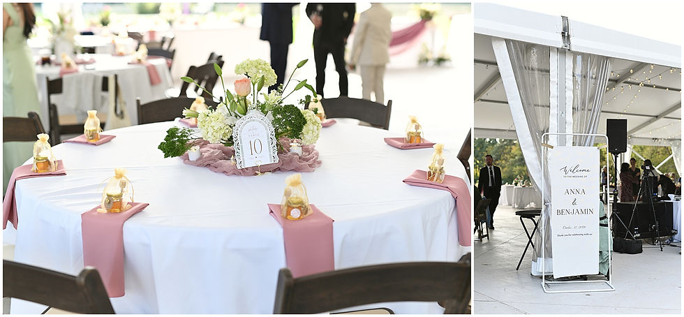 Ambassador House Wedding Fishers Indiana Photographer Photography Indianapolis