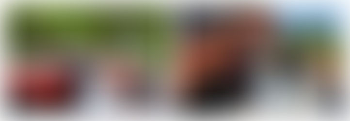 Meet Your Photographer