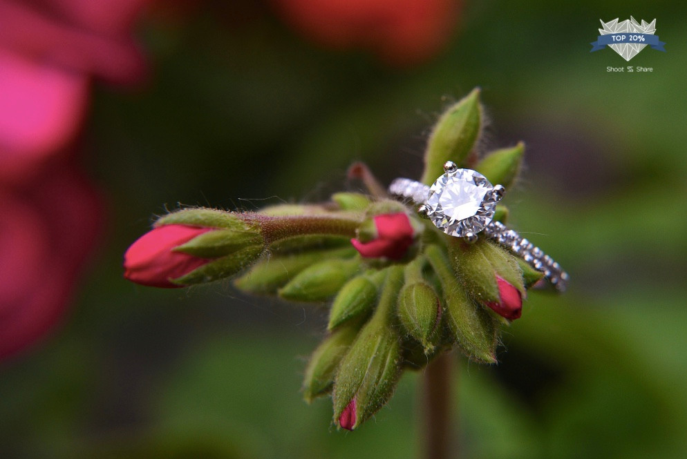 Award Winning Indiana Indianapolis Lafayette Wedding Photographer Photography