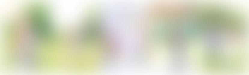 The Wilds Bloomington Indiana Wedding: Kristina & Nick