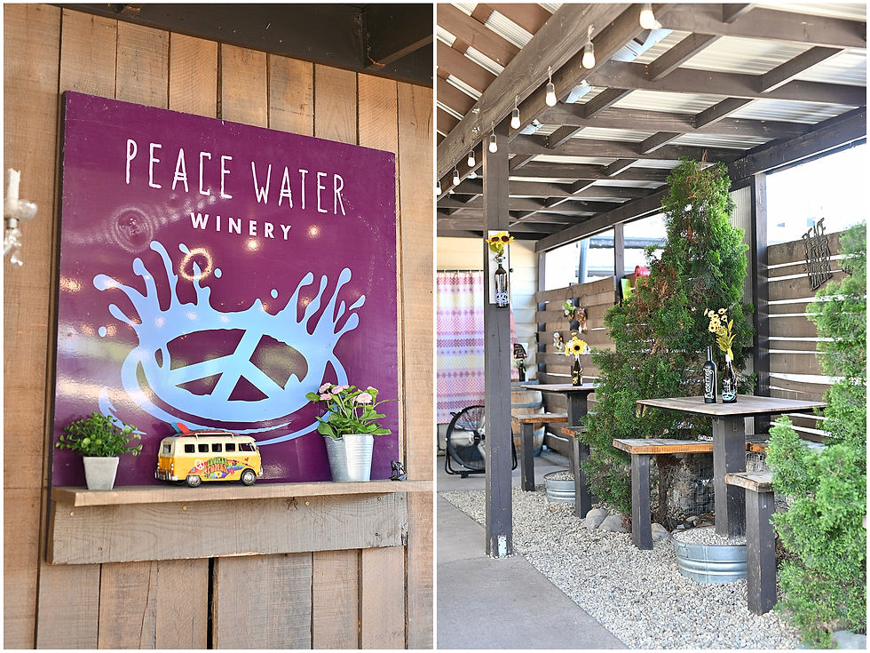 Carmel Indiana Proposal at Peace Water Winery Photographer Photography