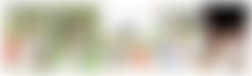 Coxhall Gardens Carmel Indiana Wedding: Lauren & David