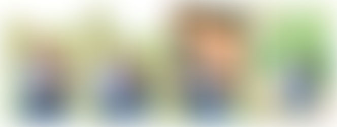 Tippecanoe Battlefield Park Engagement West Lafayette Indiana: Molly & Matt