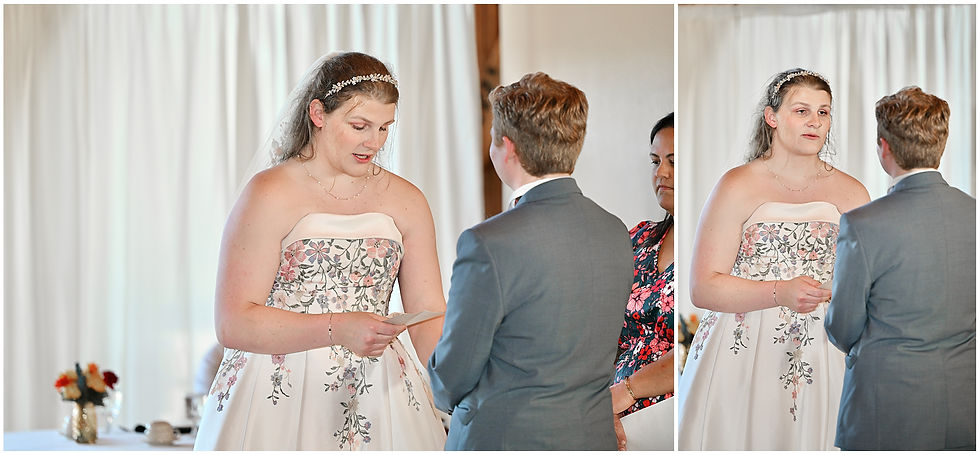 Cox Arboretum Wedding Dayton Ohio Photographer Photography
