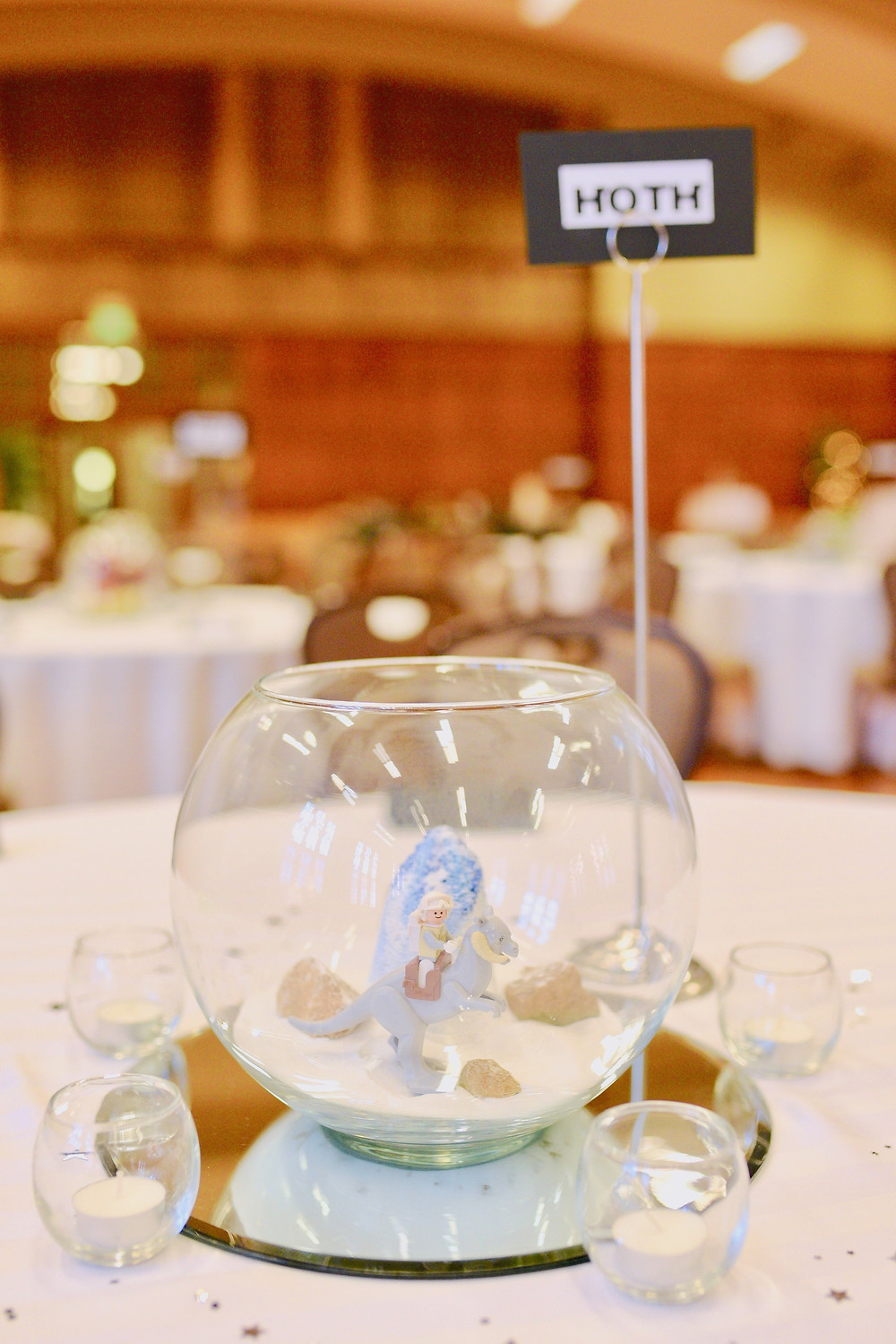 Star Wars Table Numbers Lafayette Indiana Wedding Photographer
