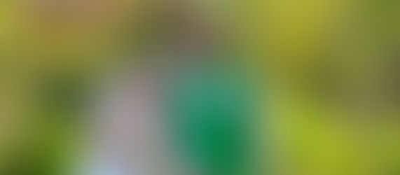 Monday Wedding Madness: First Look