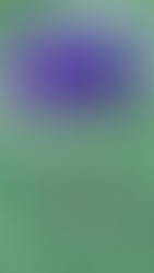 SISTEMA TRINO DE SANACIÓN