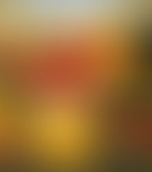 40º Siembra Mundial de Libros