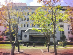 International College