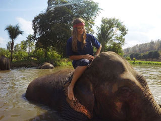 Baan Chang Elephant Rescue - Tongjan