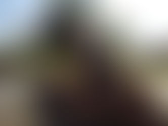 Baan Chang Elephant Rescue - Tongjan