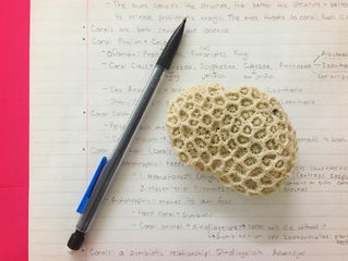 Tropical Conservation & Ecology