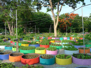 Pattaya - Wildlife & Vegetation Conservation Project