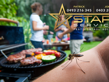EFFECTIVE MOSQUITO CONTROL IN SYDNEY: TIPS AND SOLUTIONS FOR A PEST-FREE SUMMER