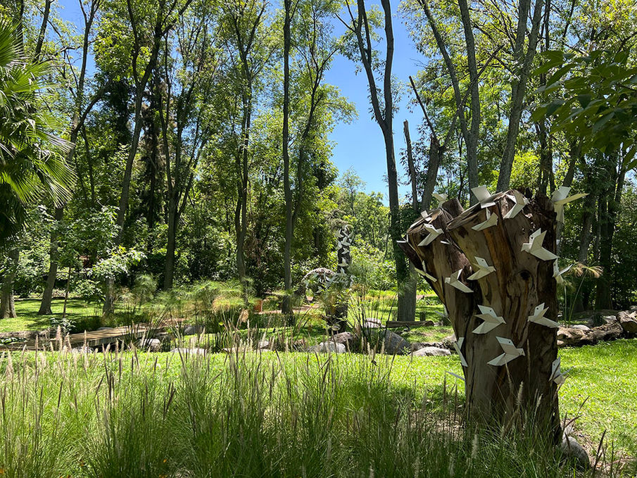 Áreas verdes El Carmen Atlixco