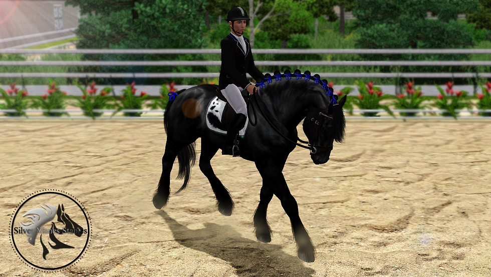 Dressage Show