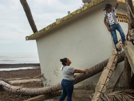 Es urgente encontrar alternativas ante la falsa transición energética