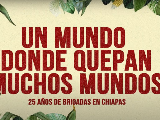 Un mundo donde quepan muchos mundos 25 años de brigadas en Chiapas