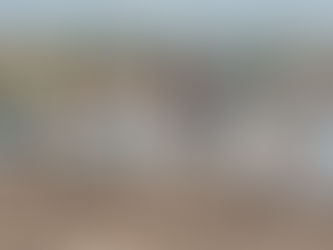 Pueblos originarios, vigencia del colonialismo interno