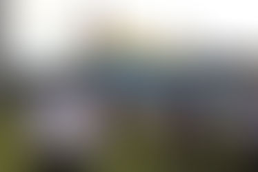 EZLN: "Llevar lejos nuestro pensamiento, es decir, nuestro corazón”