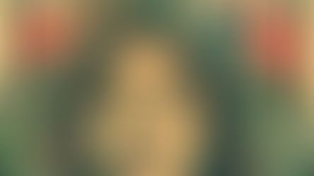 Condenan a 36 años de prisión a militar por feminicidio de Melani Ibarra