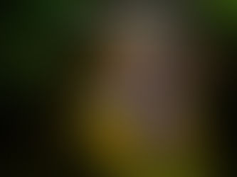 Doceava parte: Fragmentos