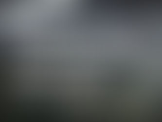 Onceava Parte: Mientras tanto, en las montañas del sureste mexicano…