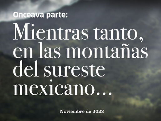 Onceava Parte: Mientras tanto, en las montañas del sureste mexicano…