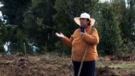 Detención arbitraria de mapuche Francisca Curihuinca Calcumil por acusación de industria forestal