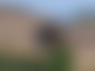 Transnacional adjudica gasoducto que pone en riesgo arrecifes en Golfo de México