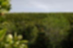 DSCF8730.JPG