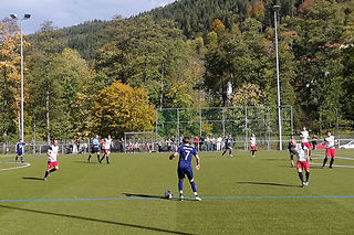 wildbad-ll-svn-ll-3