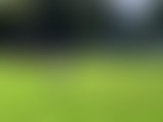 Nächster Kantersieg für unsere Zweite