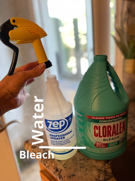 Next step in the morning round up- bleach those bathrooms!