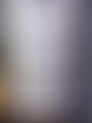 The sock bin- the struggle is real so I keep all the kids socks in one place.