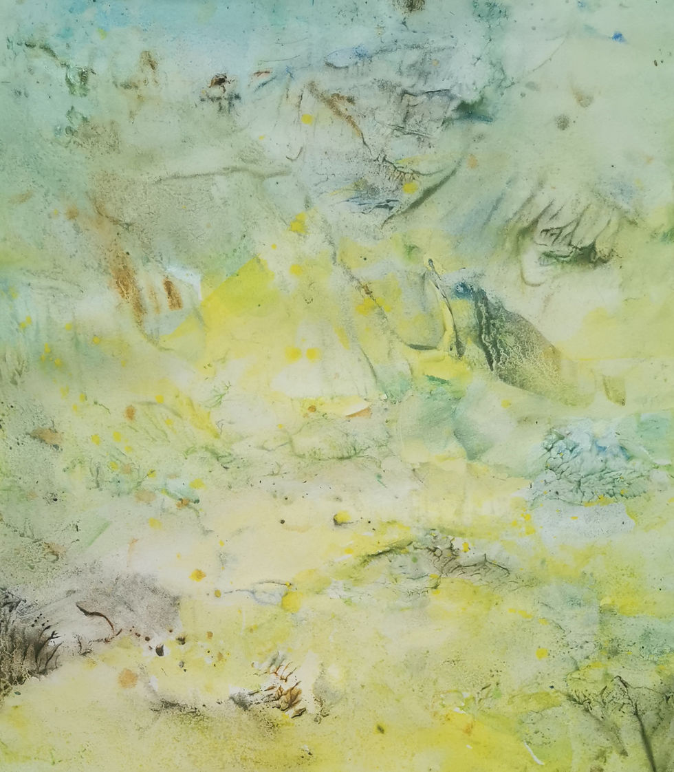 Thumbnail: SUMMER GARDEN