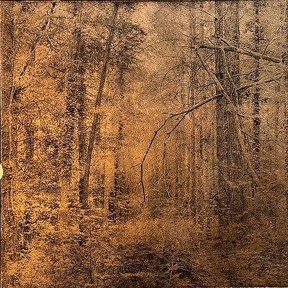 FOLLOW13_Denis FELIX_Les_Sages II_Oxydotype sur verre_40x40cm.jpg