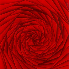 Follow 13_Carole JURY_Rose de Mia 2026.32_Oil on wood panel_20x20.jpg