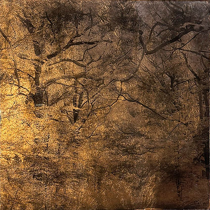 FOLLOW13_Denis FELIX_Les_Sages IV_Oxydotype sur verre_40x40cm.jpg