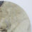 Thumbnail: MISCANTHUS