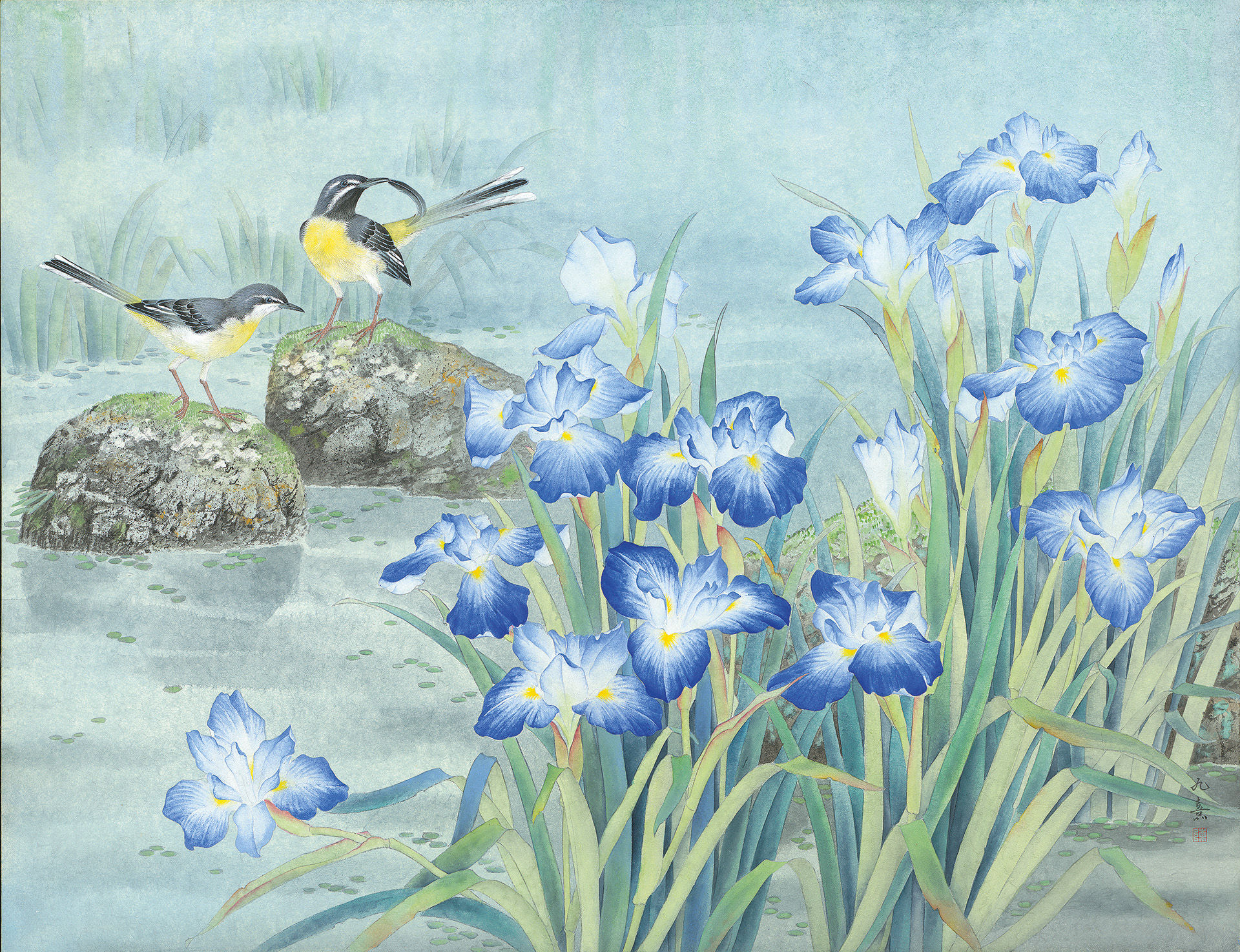 Shadow Dance on a Clear Breeze | Grey Wagtail, Iris
