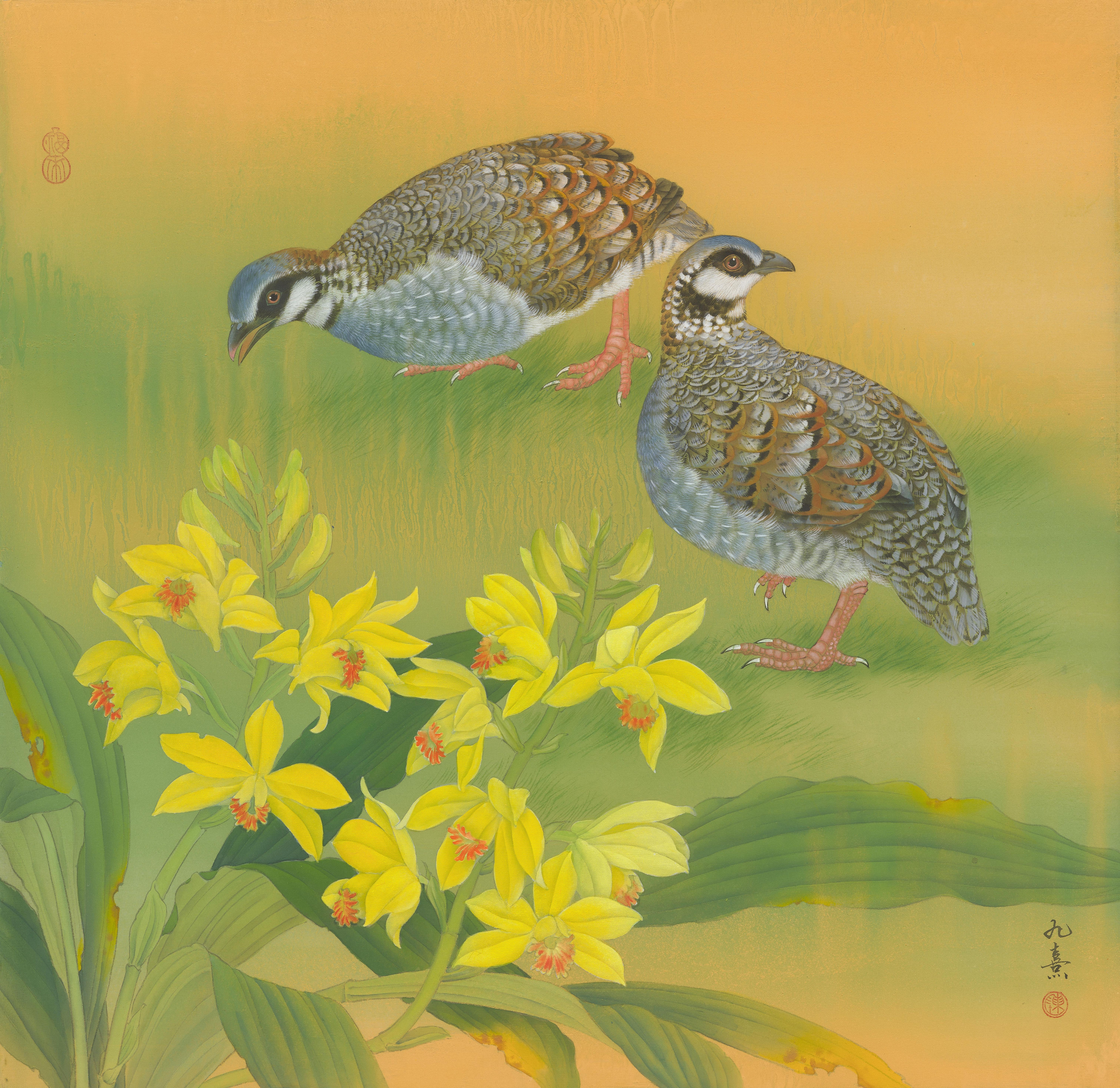 含情春蕪｜深山竹雞.黃鶴頂蘭