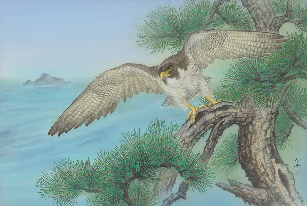 鯤鵬萬里｜游隼.二葉松.龜山島