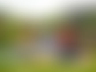 Affirmation as Medicine: A Trauma-Informed, Personalized Psychiatry Guide for LGBTQ+ and Marginalized Communities