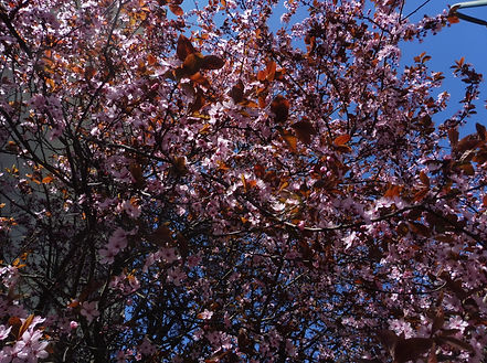 P1090531.JPG